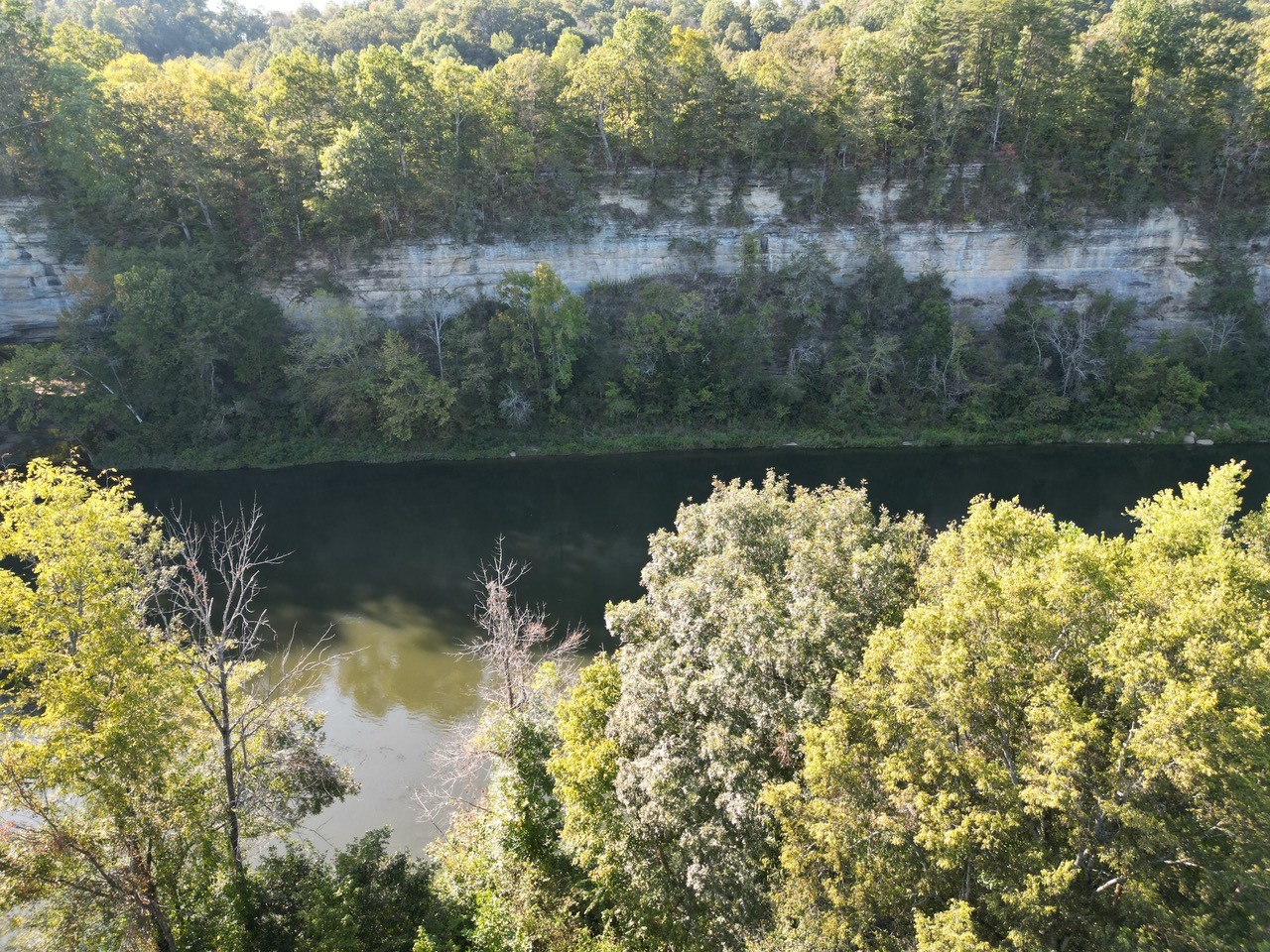 0 Rockhouse Trce Road Albany, KY 42602 - Photo 22 of 24 a view of a lake in a forest