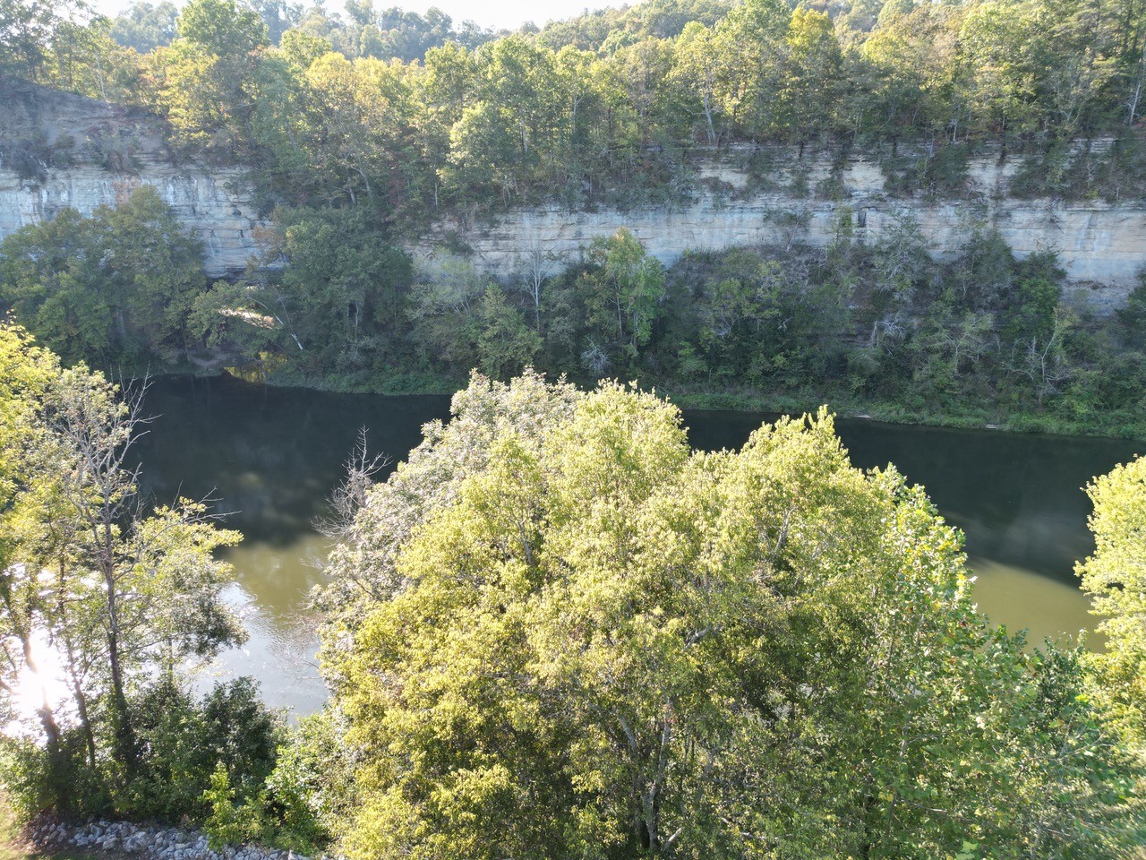 0 Rockhouse Trce Road Albany, KY 42602 - Photo 23 of 24 a view of a lake with large trees
