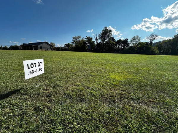 a view of a sign in a field