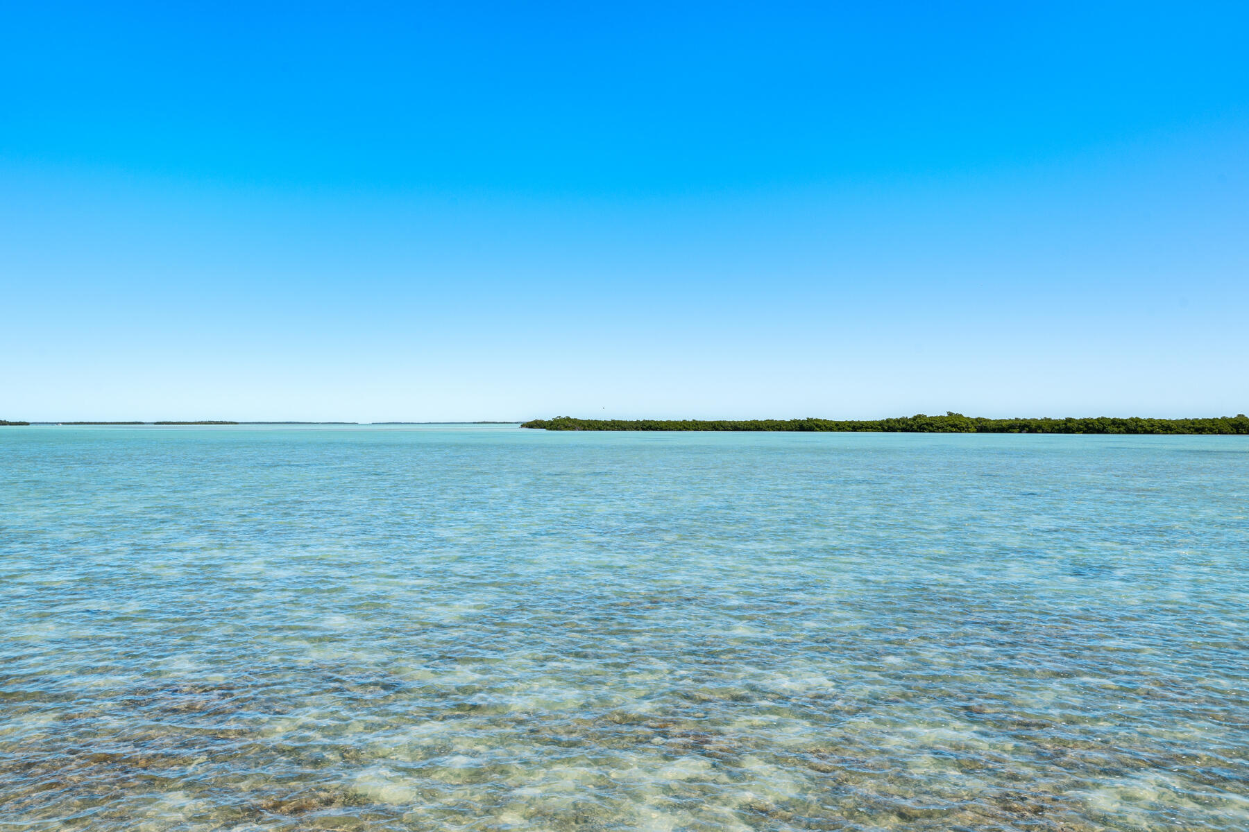 55 2 Turtles Lane Key West, FL 33040 - Photo 75 of 87 view from back of home
