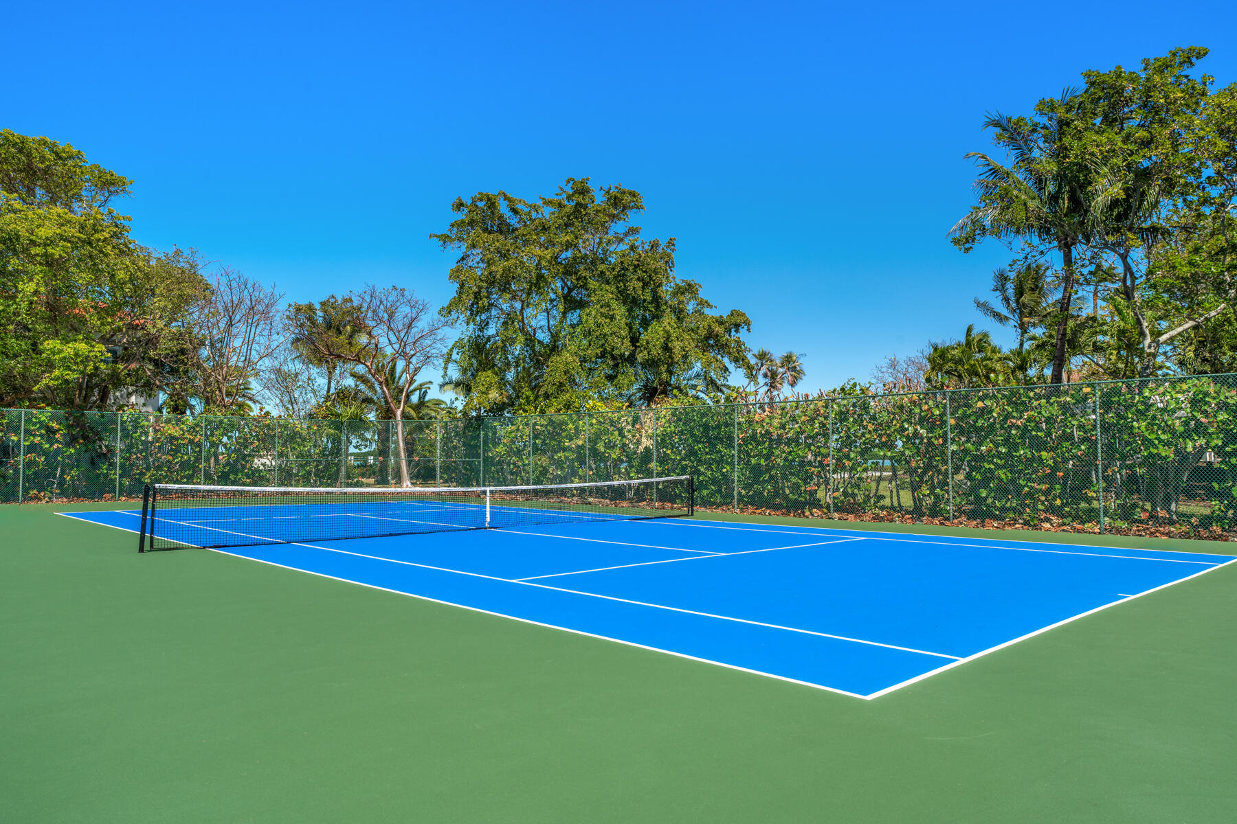 55 2 Turtles Lane Key West, FL 33040 - Photo 87 of 87 55 2 Turtles Ln_1oakstudios_88