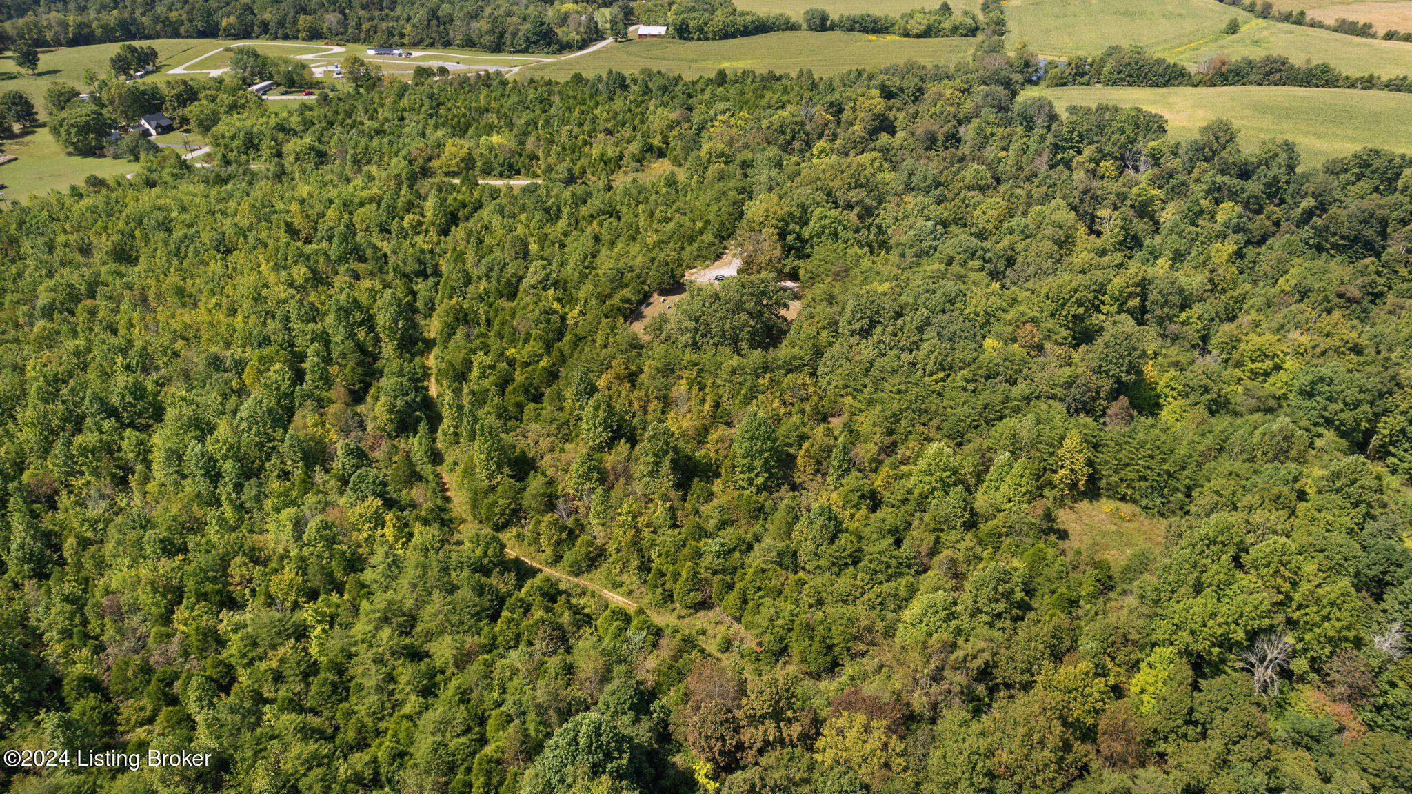 0 Jock Road Bee Spring, KY 42207 - Photo 37 of 42 36-web-or-mls-DJI_0866