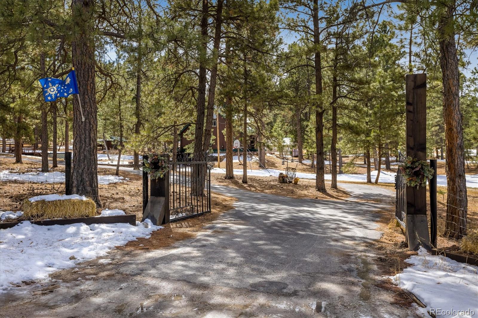 5030 Cedar Way Elizabeth, CO 80107 - Photo 37 of 48