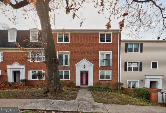 a view of a garden with an outdoor space