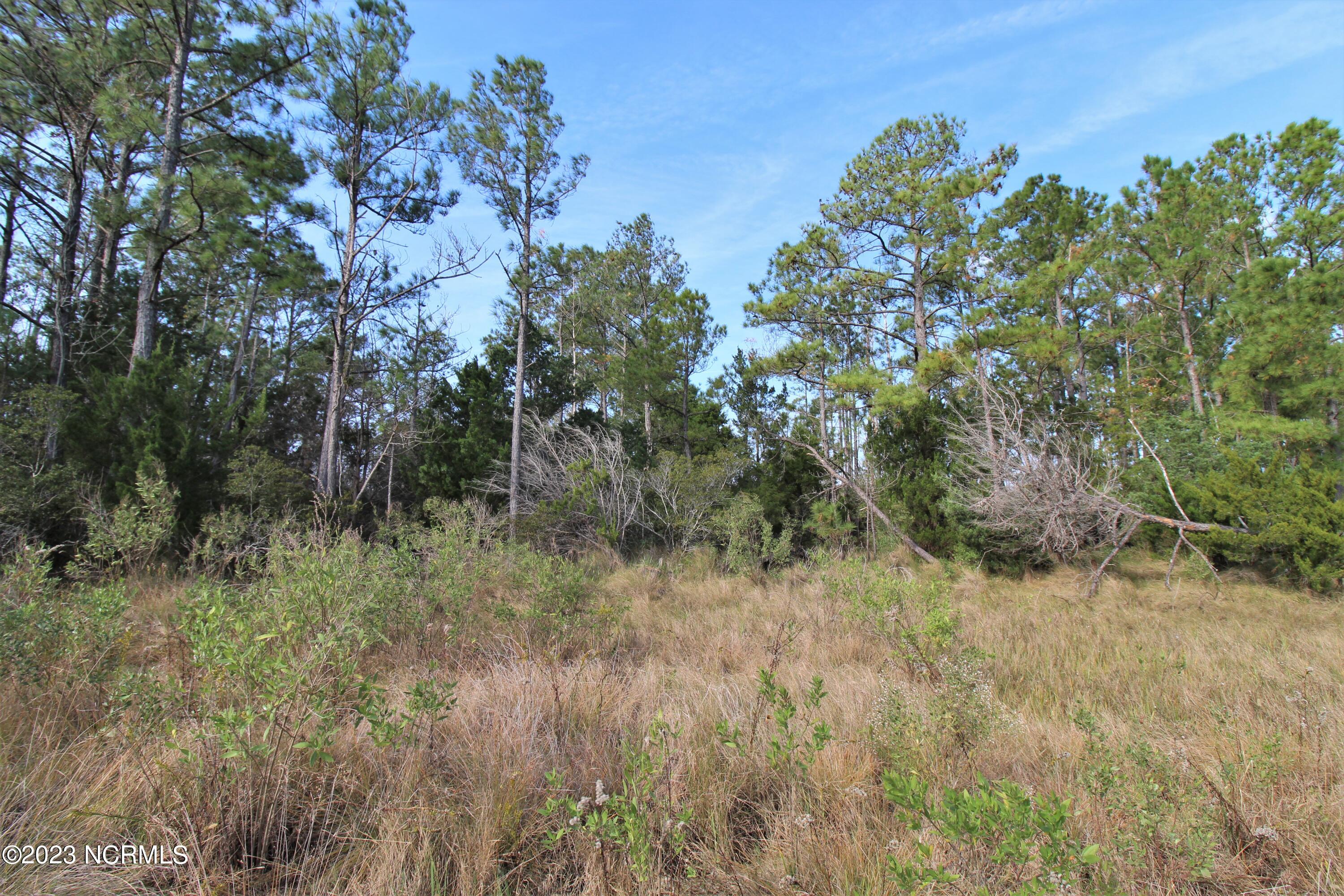435 Merrimon Road Beaufort, NC 28516 - Photo 7 of 15 IMG_5665