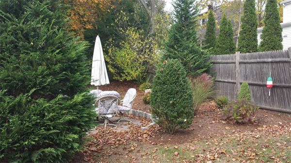 15 Douglas Road Waltham, MA 02453 - Photo 12 of 14 Gallery Image 12