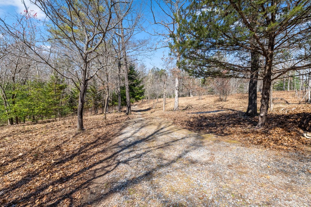 1262 Maple Grove Road Morganton, GA 30560 - Photo 17 of 68
