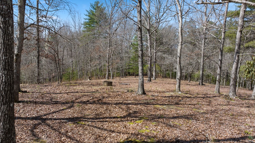 1262 Maple Grove Road Morganton, GA 30560 - Photo 3 of 68 a backyard of a house with lots of green space