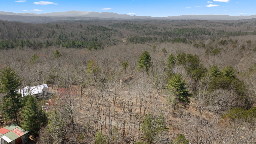 1262 Maple Grove Road Morganton, GA 30560 - Photo 5 of 68 a view of mountain with lake view