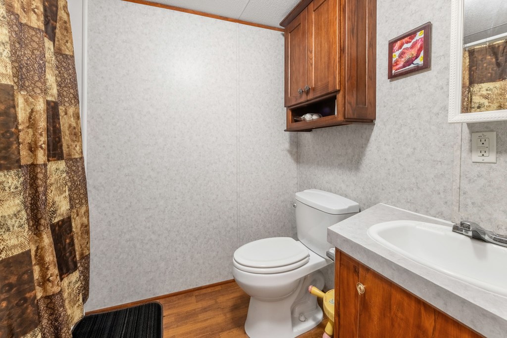1262 Maple Grove Road Morganton, GA 30560 - Photo 51 of 68 a bathroom with a toilet and a sink