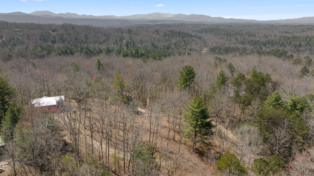 1262 Maple Grove Road Morganton, GA 30560 - Photo 7 of 68 a view of a lake with a mountain in the background