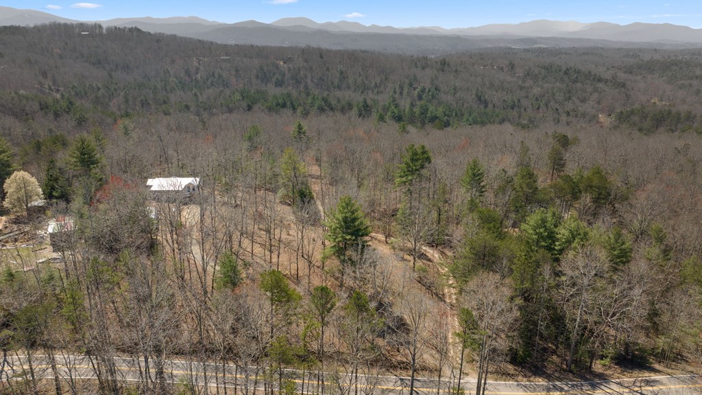 1262 Maple Grove Road Morganton, GA 30560 - Photo 8 of 68 a view of a forest with a mountain in the background