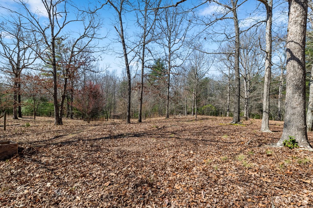 1262 Maple Grove Road Morganton, GA 30560 - Photo 9 of 68 a view of a yard with trees