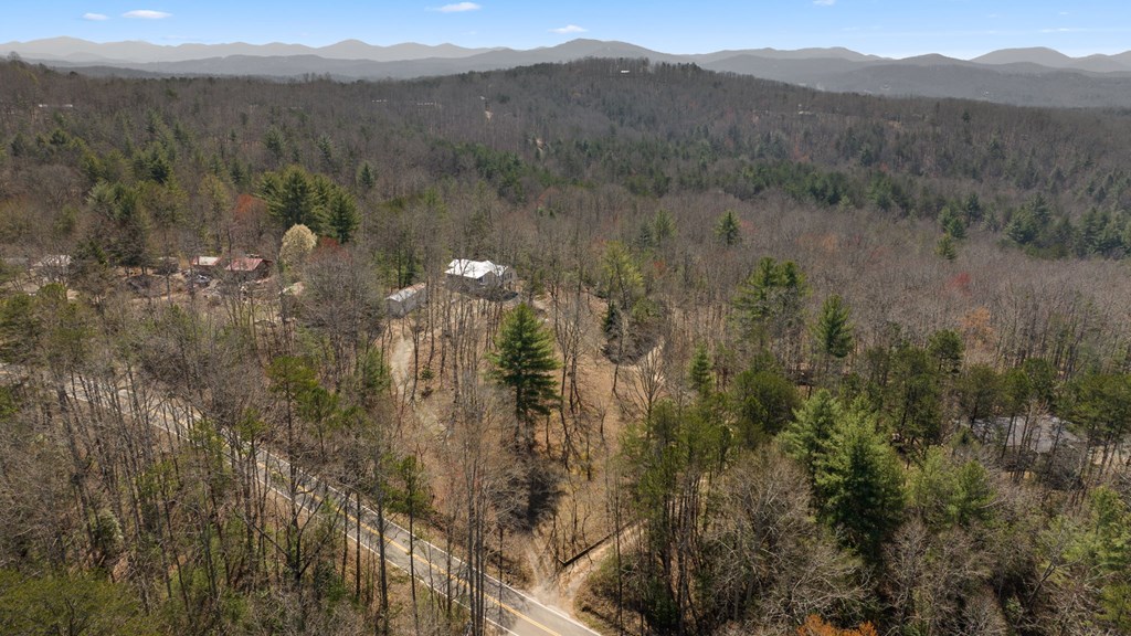1262 Maple Grove Road Morganton, GA 30560 - Photo 10 of 68 a view of a town with mountains in the background