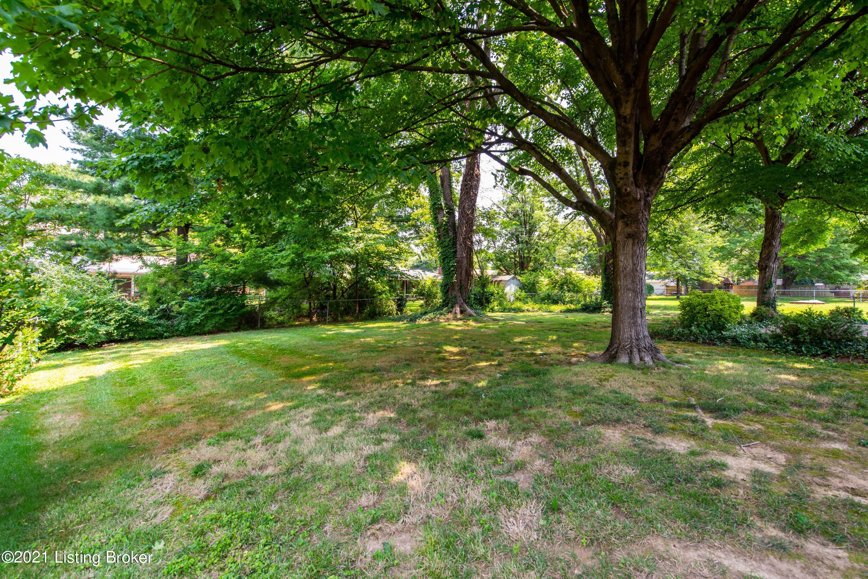 6709 Watch Hill Road Louisville, KY 40228 - Photo 9 of 43 Rear yard