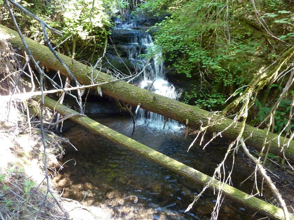 another view of falls