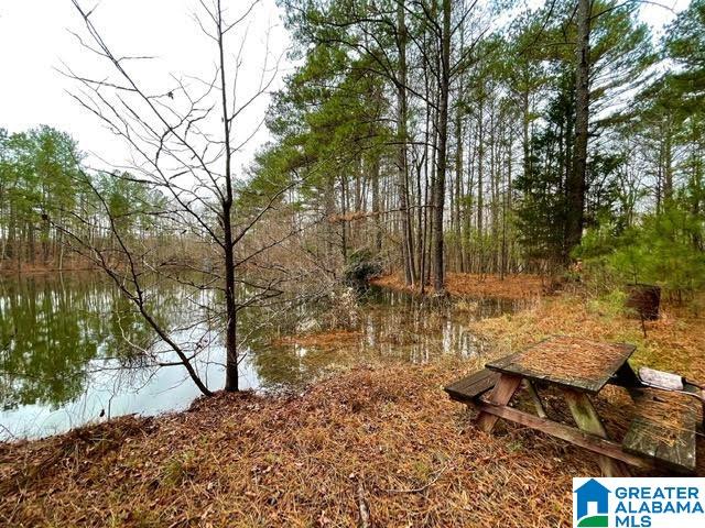 0 Deaver Walker Road Trafford, AL 35172 - Photo 14 of 28