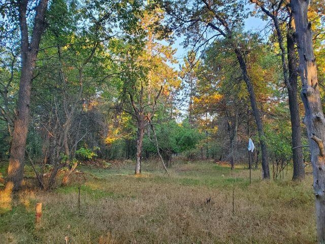 3487 Perry Holt Road West Branch, MI 48661 - Photo 11 of 17 Gallery Image 11