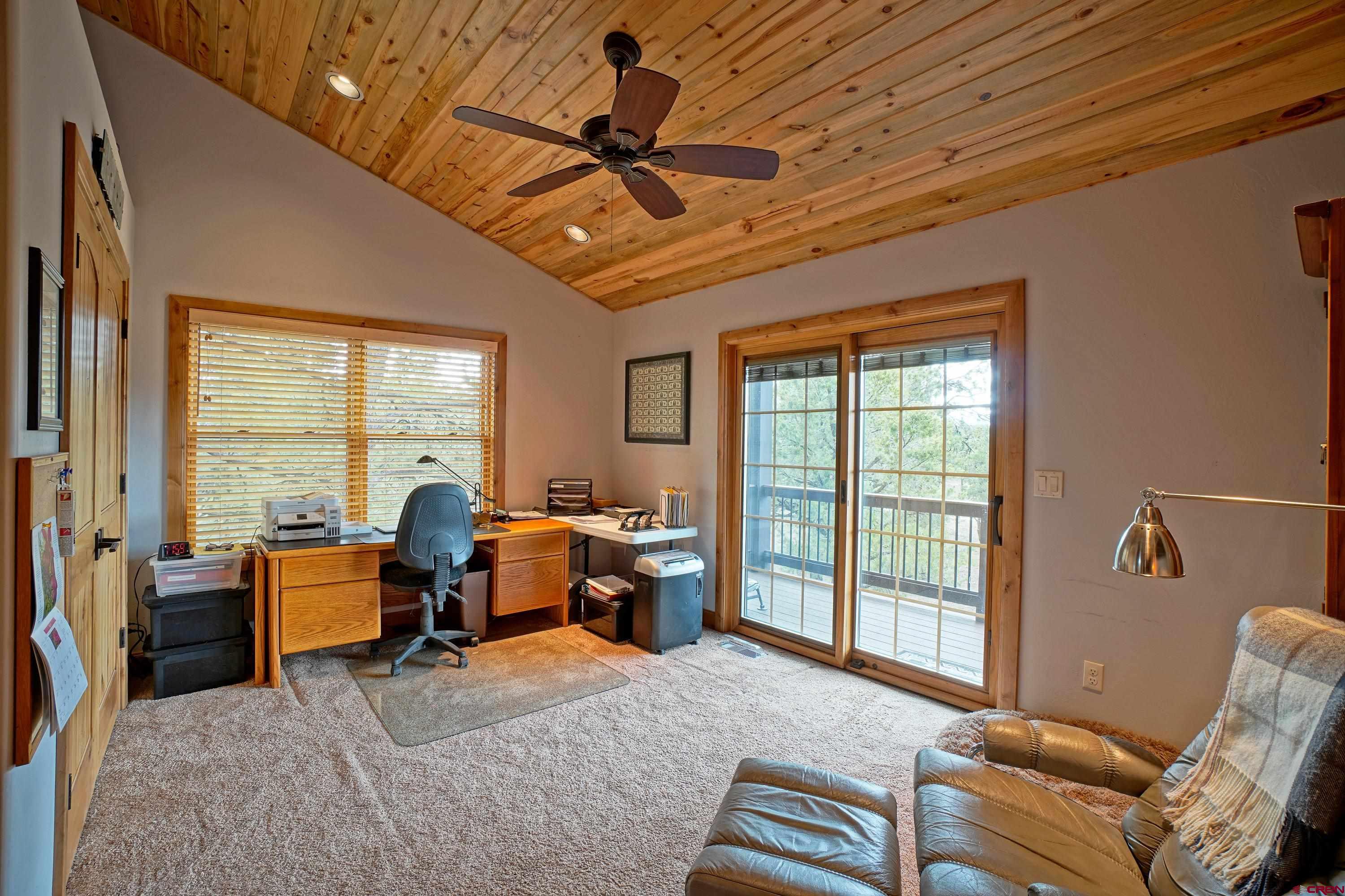 22 Puma Lane Ridgway, CO 81432 - Photo 29 of 45 Gallery Image 29