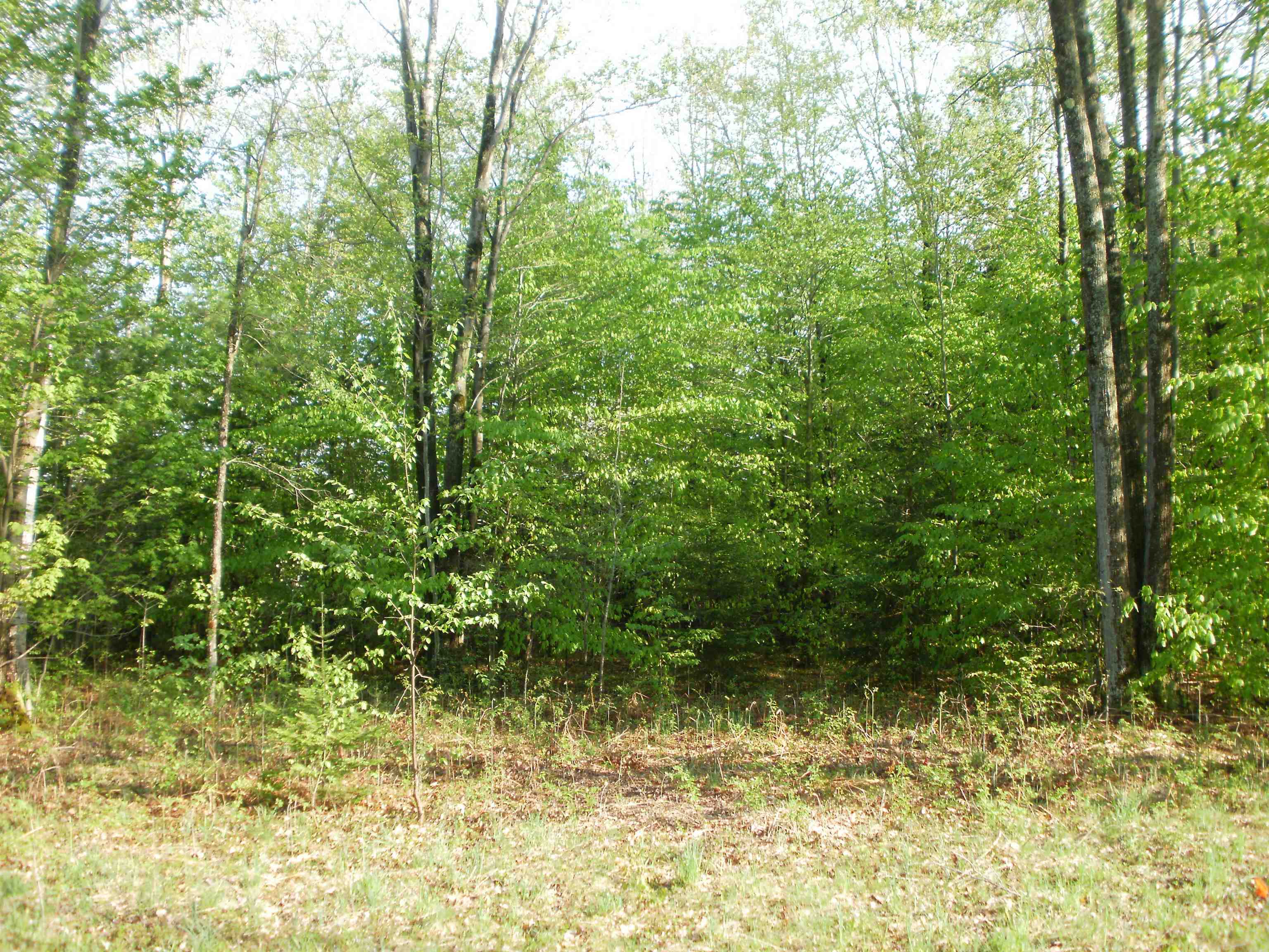 21919 Simpson Road Copemish, MI 49625 - Photo 3 of 6