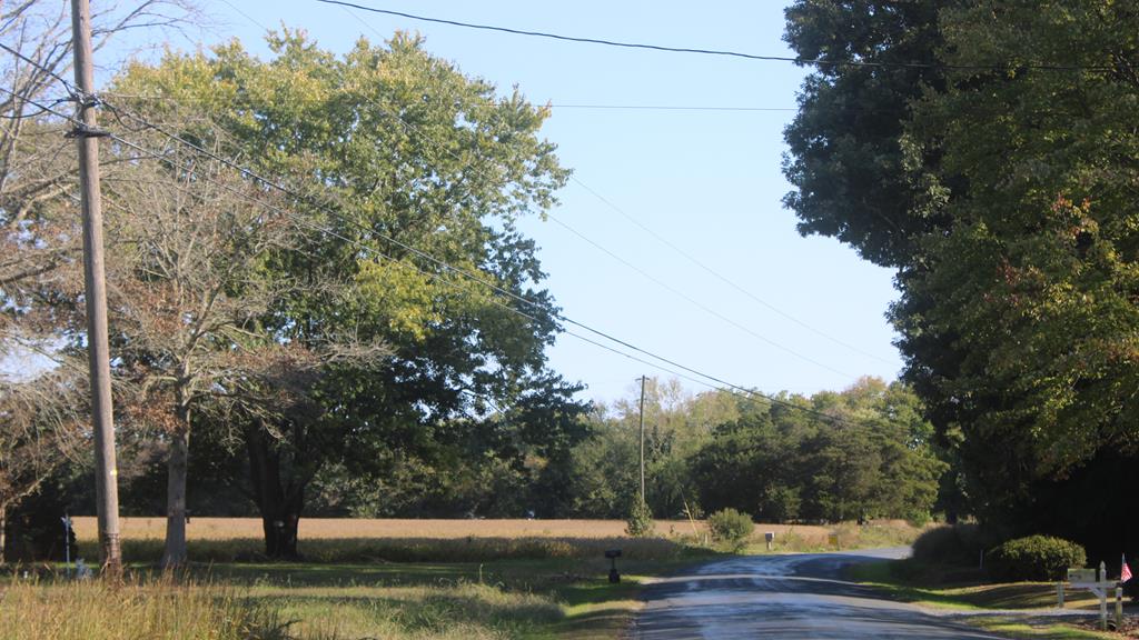 Lot 130 Matthews Road, Unit 130 Parksley, VA 23421 - Photo 9 of 15