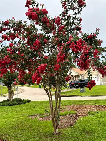$359,500 | 8312 Innsbrook Drive, Tallahassee, FL 32312
