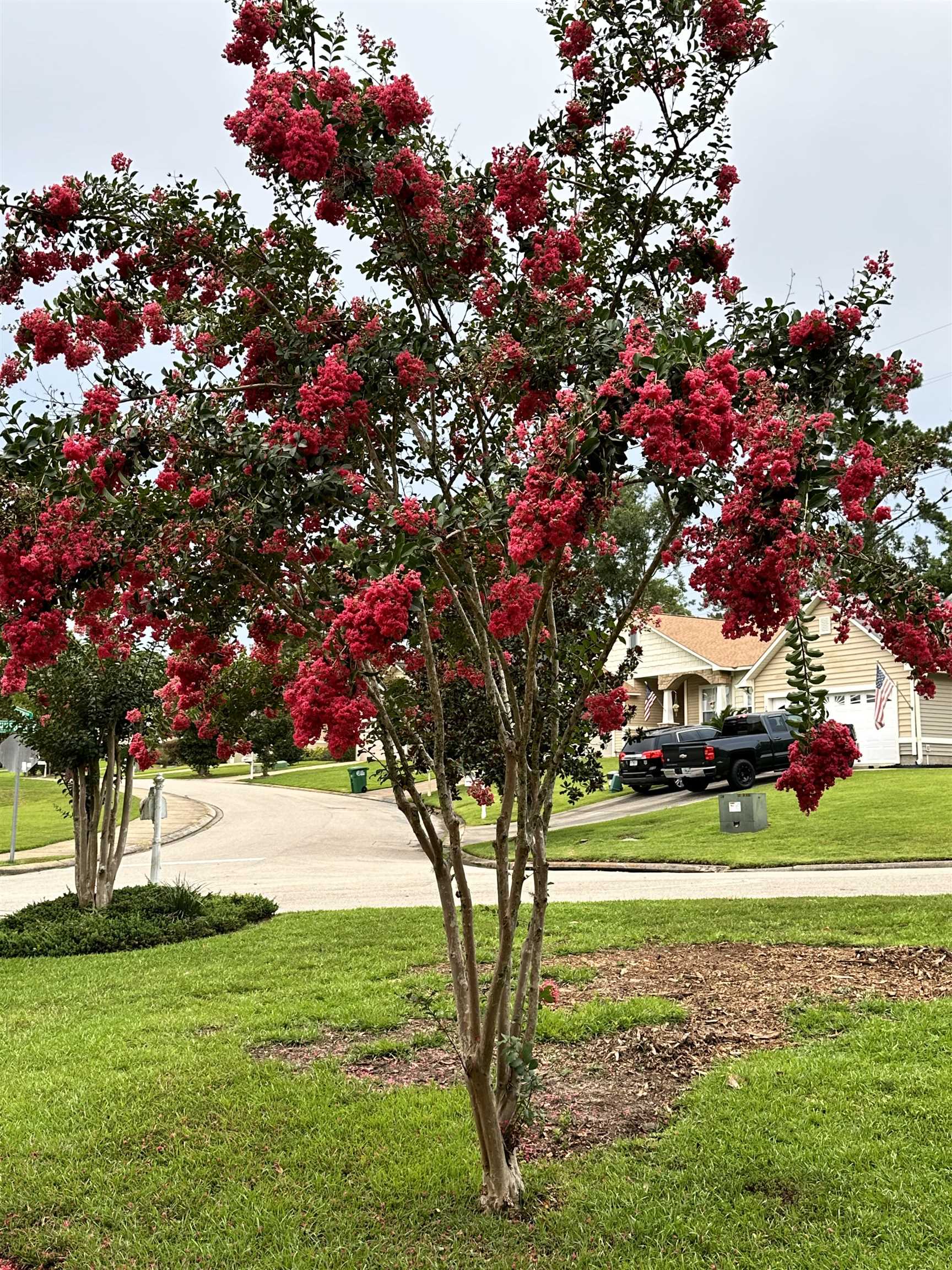 8312 Innsbrook Drive Tallahassee, FL 32312 - Photo 7 of 48