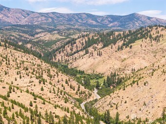 4 Mud Creek Road Entiat, WA 98822 - Photo 25 of 29 a view of a yard with a mountain