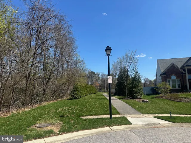 a view of park with large trees