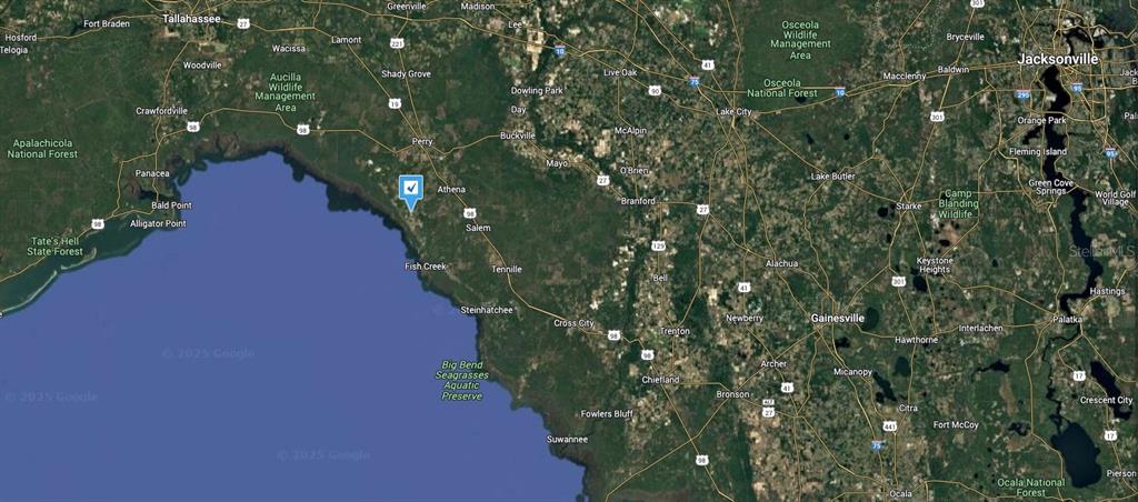 2531 Ocean Pond Road Perry, FL 32348 - Photo 5 of 5 a picture of trees