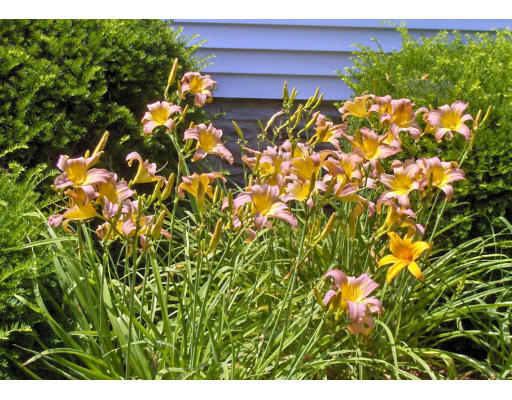 202 Eastford Road Southbridge, MA 01550 - Photo 17 of 17 Gallery Image 17