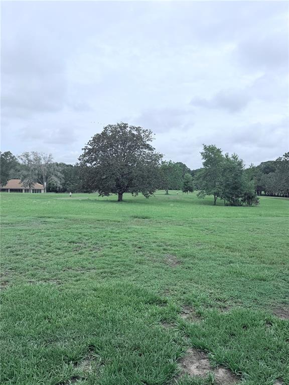 9092 Southwest 192nd Court Road Dunnellon, FL 34432 - Photo 36 of 50