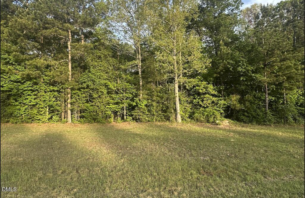 0 L L Cooper Road Cameron, NC 28326 - Photo 3 of 17 a view of a yard with a trees