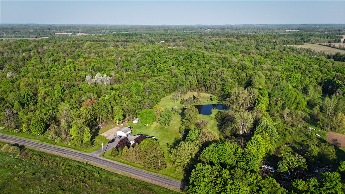 7488 Eades Road Red Creek, NY 13143 - Photo 3 of 50