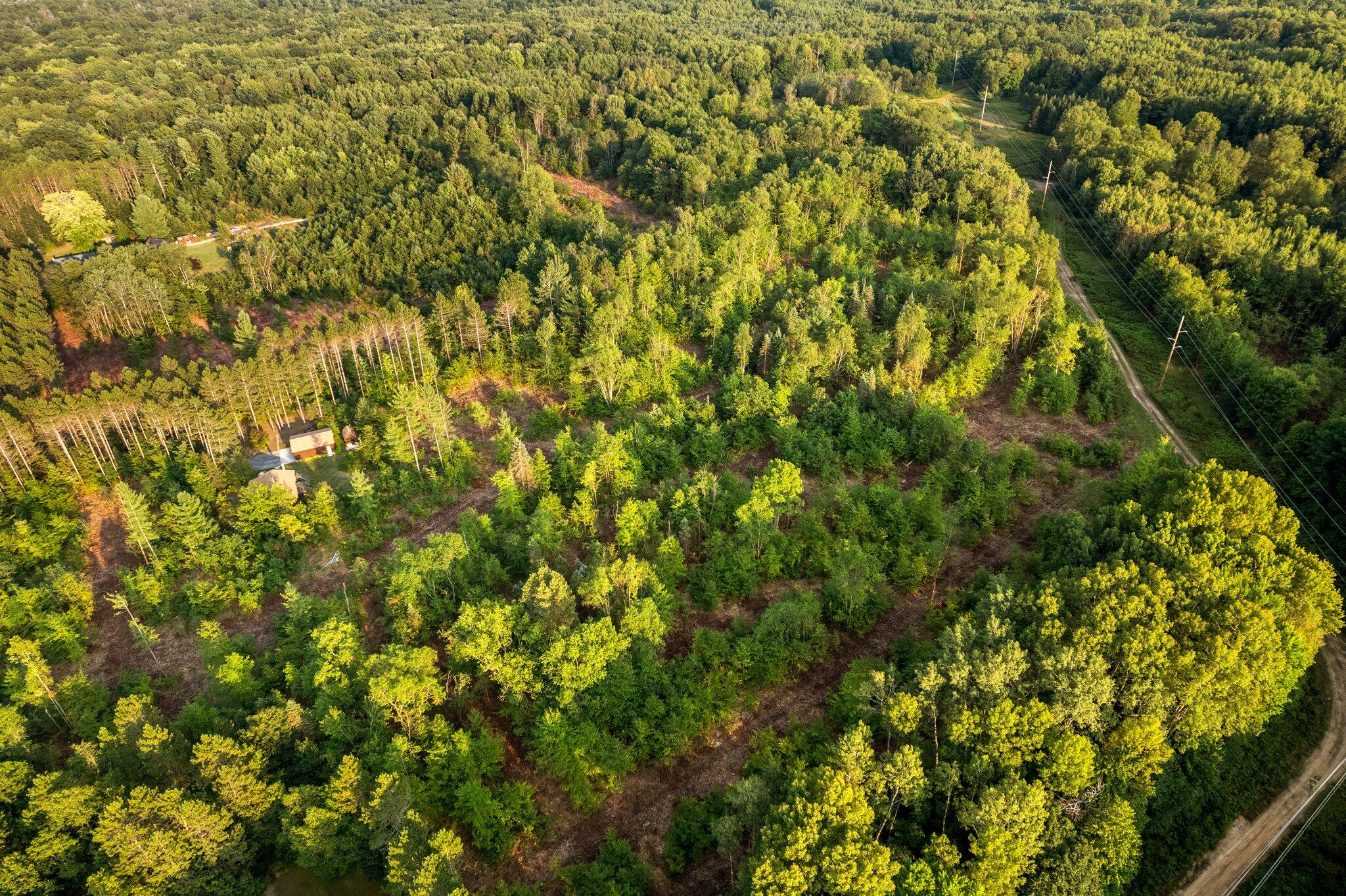 13121 Graf Road Brethren, MI 49619 - Photo 37 of 51 10-web-or-mls-DJI_0044