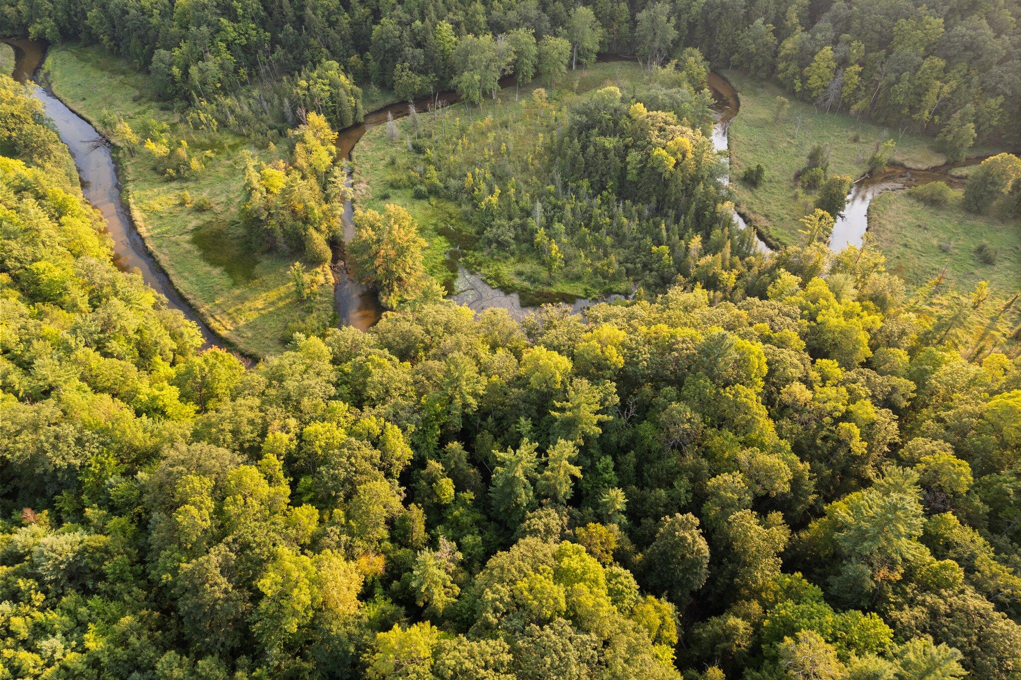13121 Graf Road Brethren, MI 49619 - Photo 38 of 51 11-web-or-mls-DJI_0053