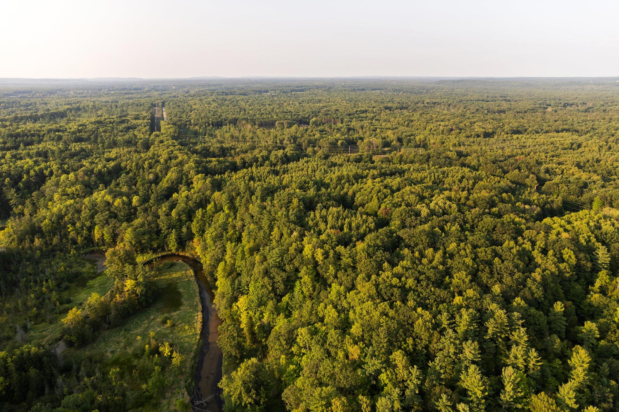 13121 Graf Road Brethren, MI 49619 - Photo 41 of 51 14-web-or-mls-DJI_0066