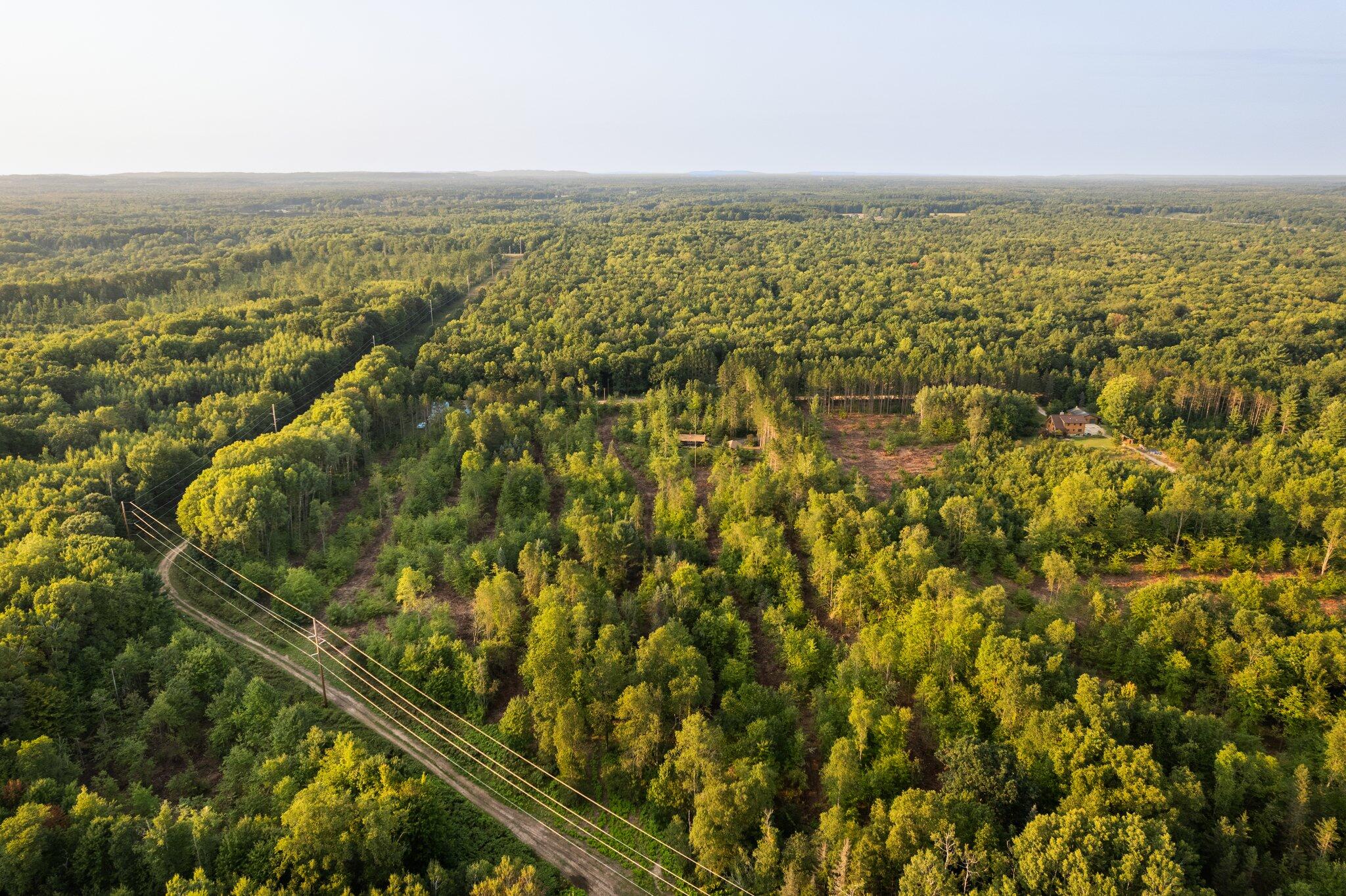 13121 Graf Road Brethren, MI 49619 - Photo 45 of 51 20-web-or-mls-DJI_0094