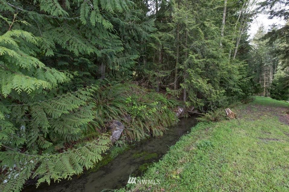 744 Miller Road Sequim, WA 98382 - Photo 10 of 40 a view of a forest with a tree