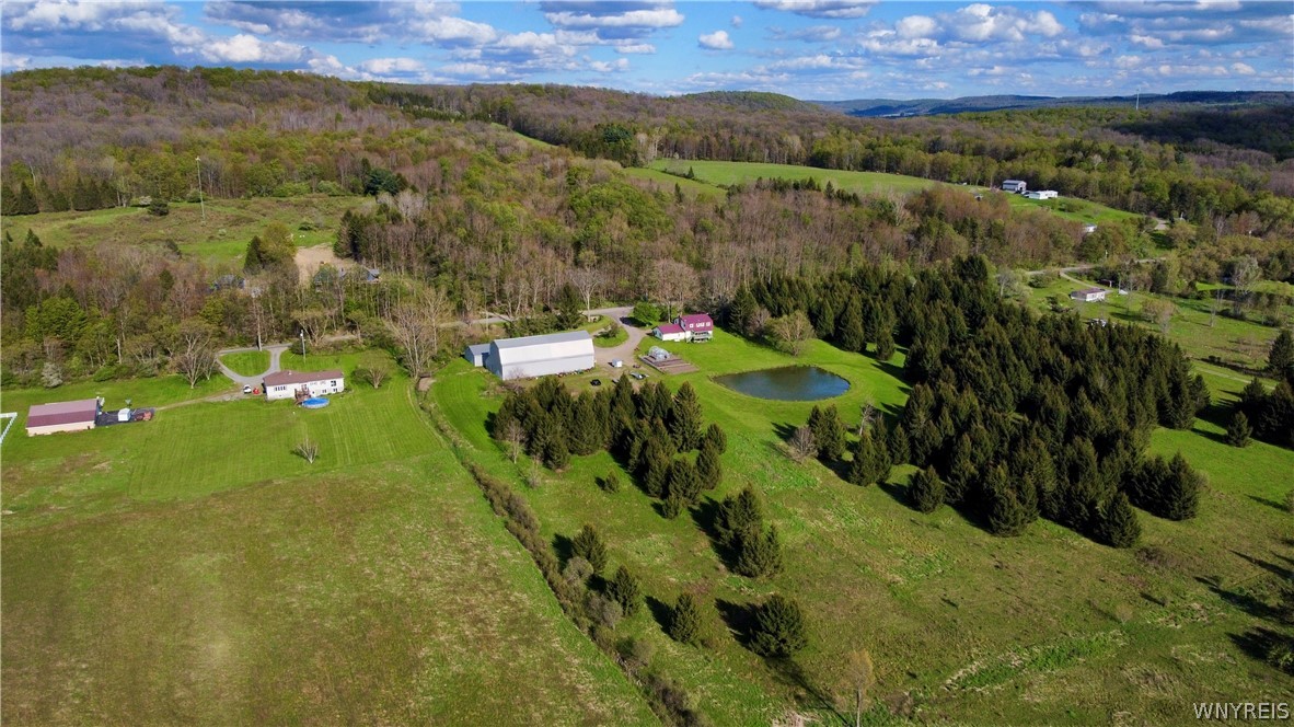 9511 Utley Road East Otto, NY 14729 - Photo 23 of 49