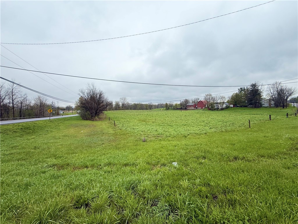 96 State Route Phelps, NY 14532 - Photo 7 of 8