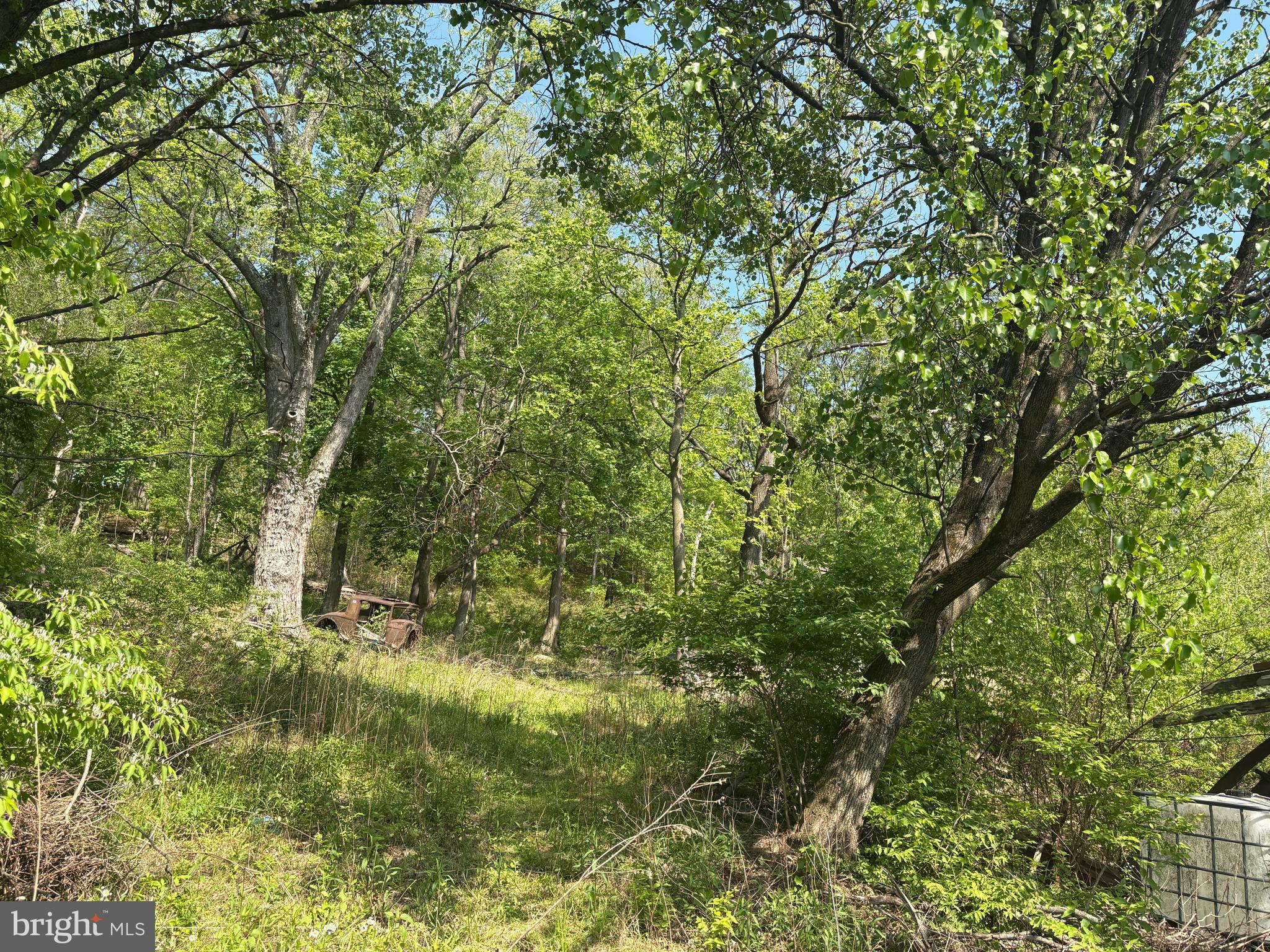 4850 Old National Pike West Frederick, MD 21702 - Photo 3 of 3