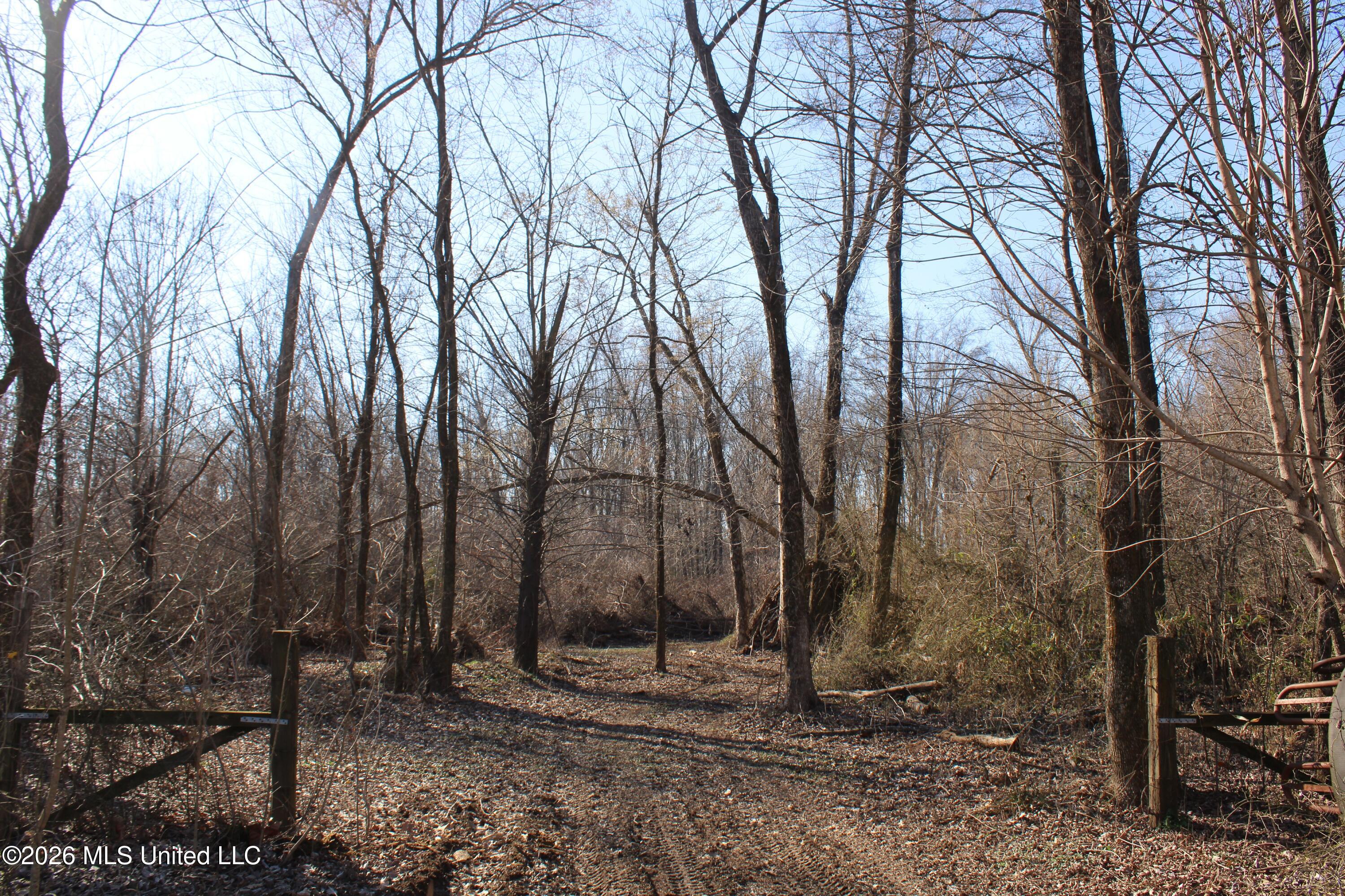 1815 Craft Road Olive Branch, MS 38654 - Photo 11 of 27 IMG_7448