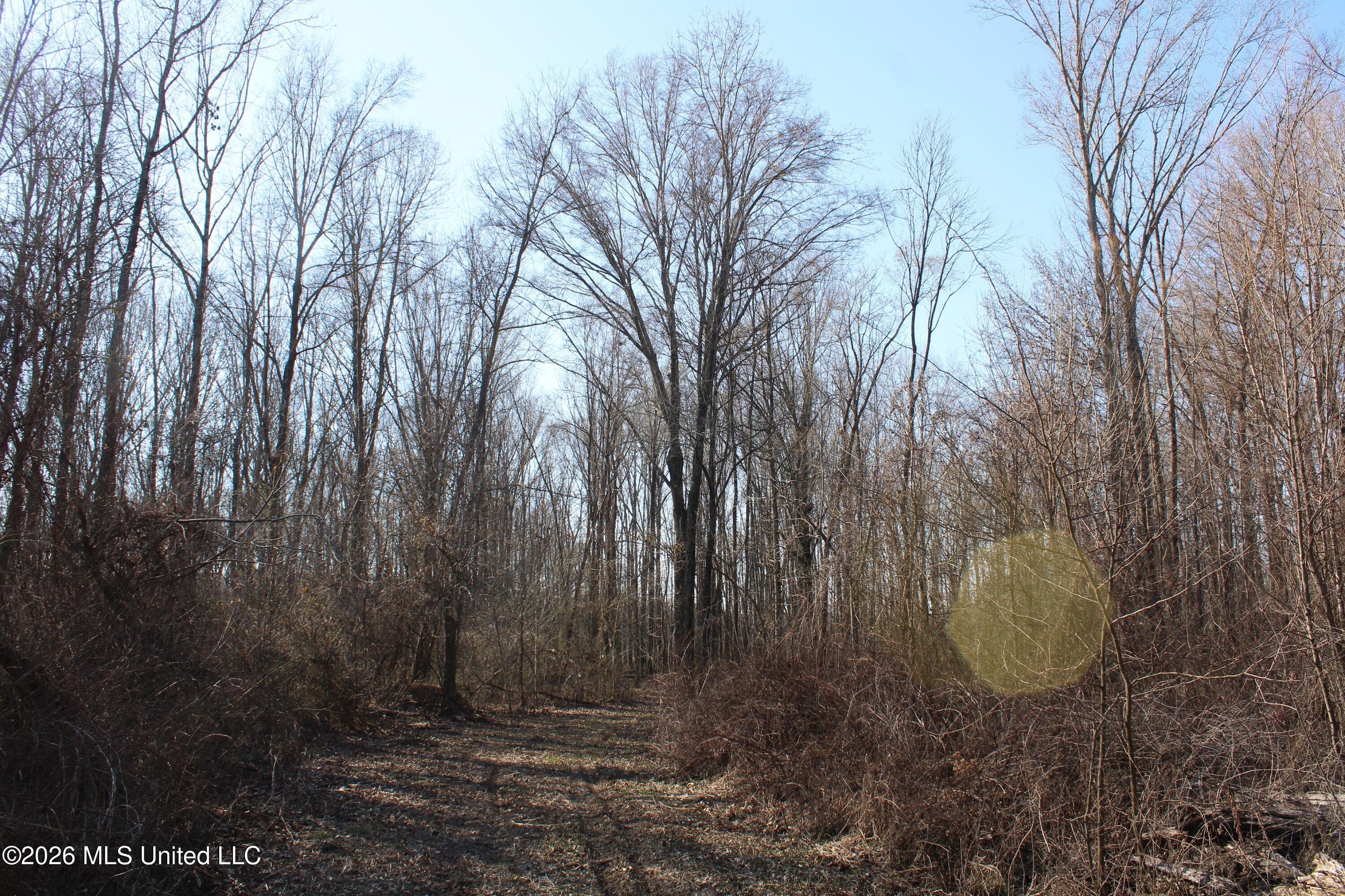 1815 Craft Road Olive Branch, MS 38654 - Photo 12 of 27 IMG_7449