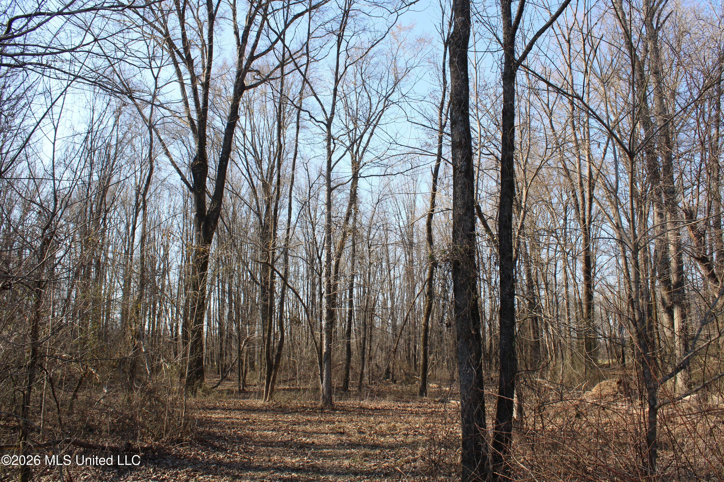 1815 Craft Road Olive Branch, MS 38654 - Photo 13 of 27 IMG_7450