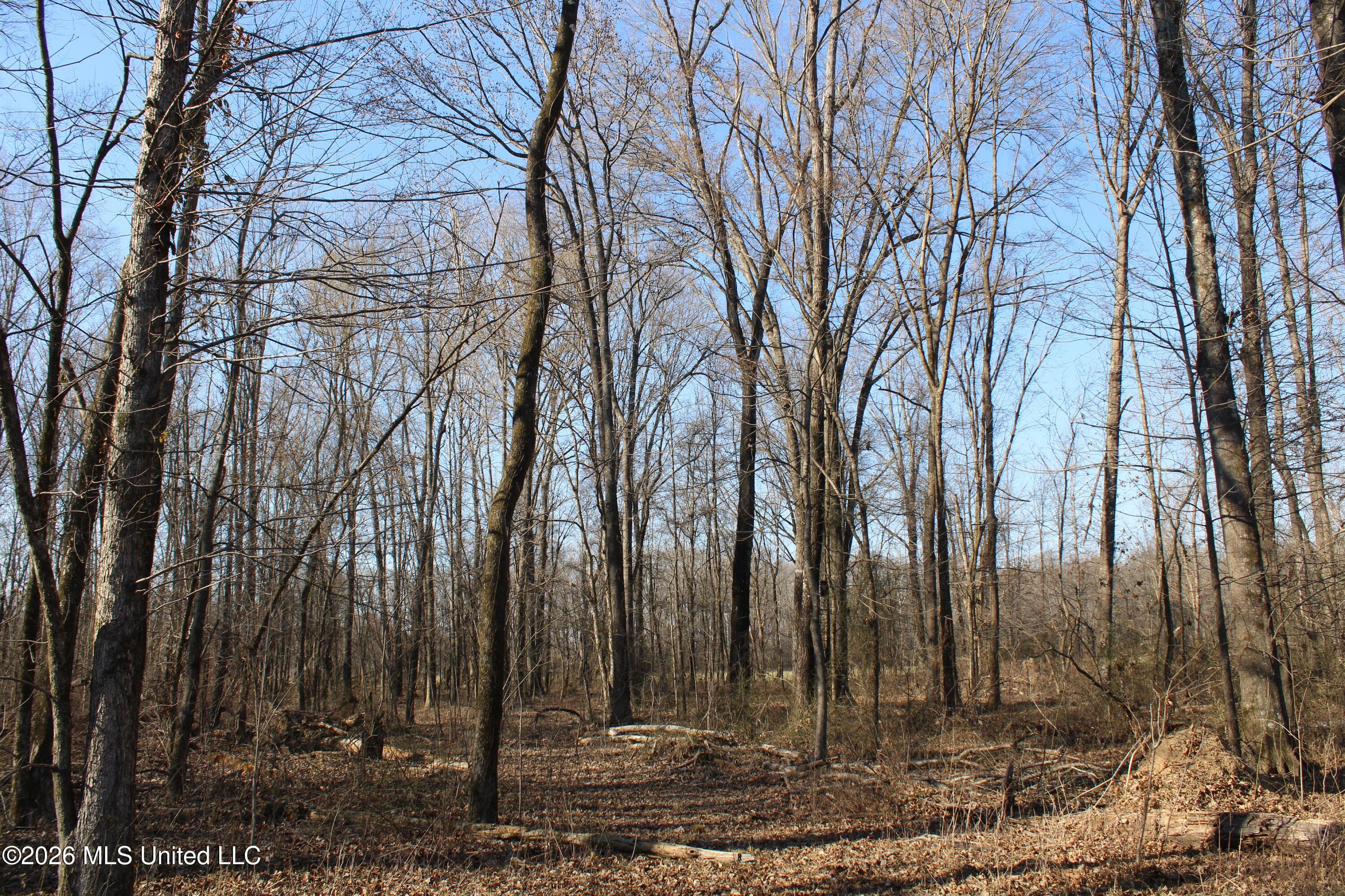 1815 Craft Road Olive Branch, MS 38654 - Photo 14 of 27 IMG_7451