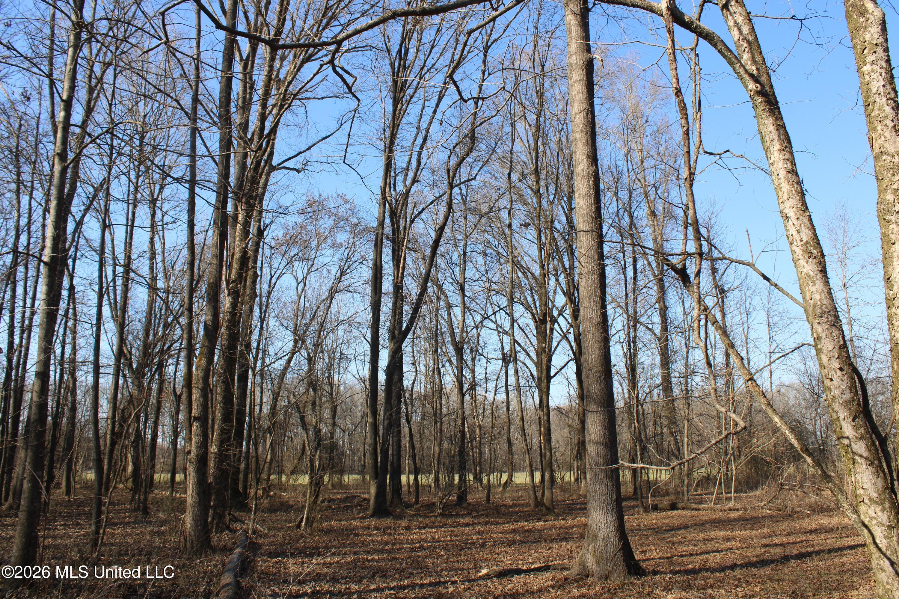 1815 Craft Road Olive Branch, MS 38654 - Photo 15 of 27 IMG_7452