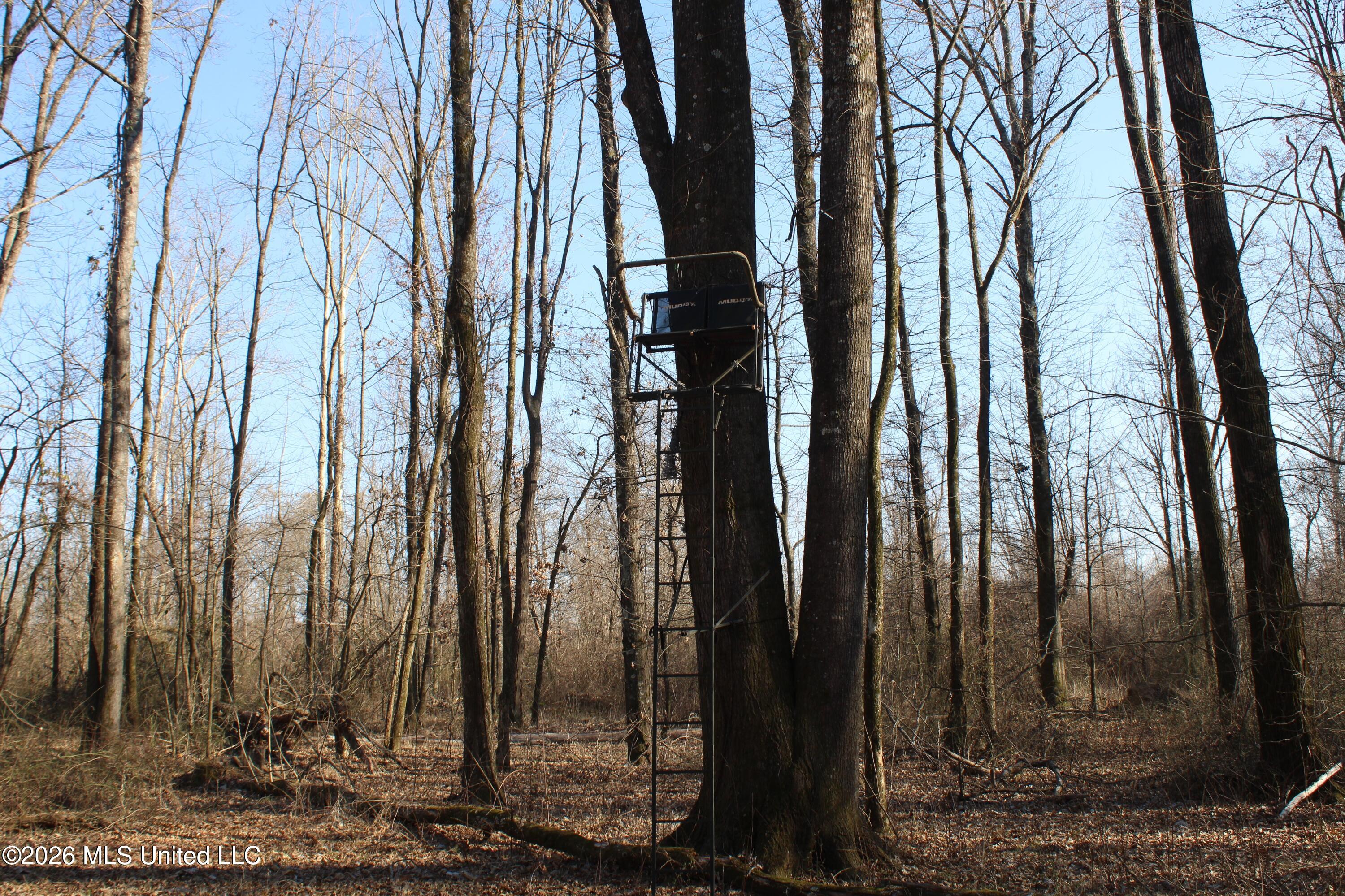 1815 Craft Road Olive Branch, MS 38654 - Photo 16 of 27 IMG_7453