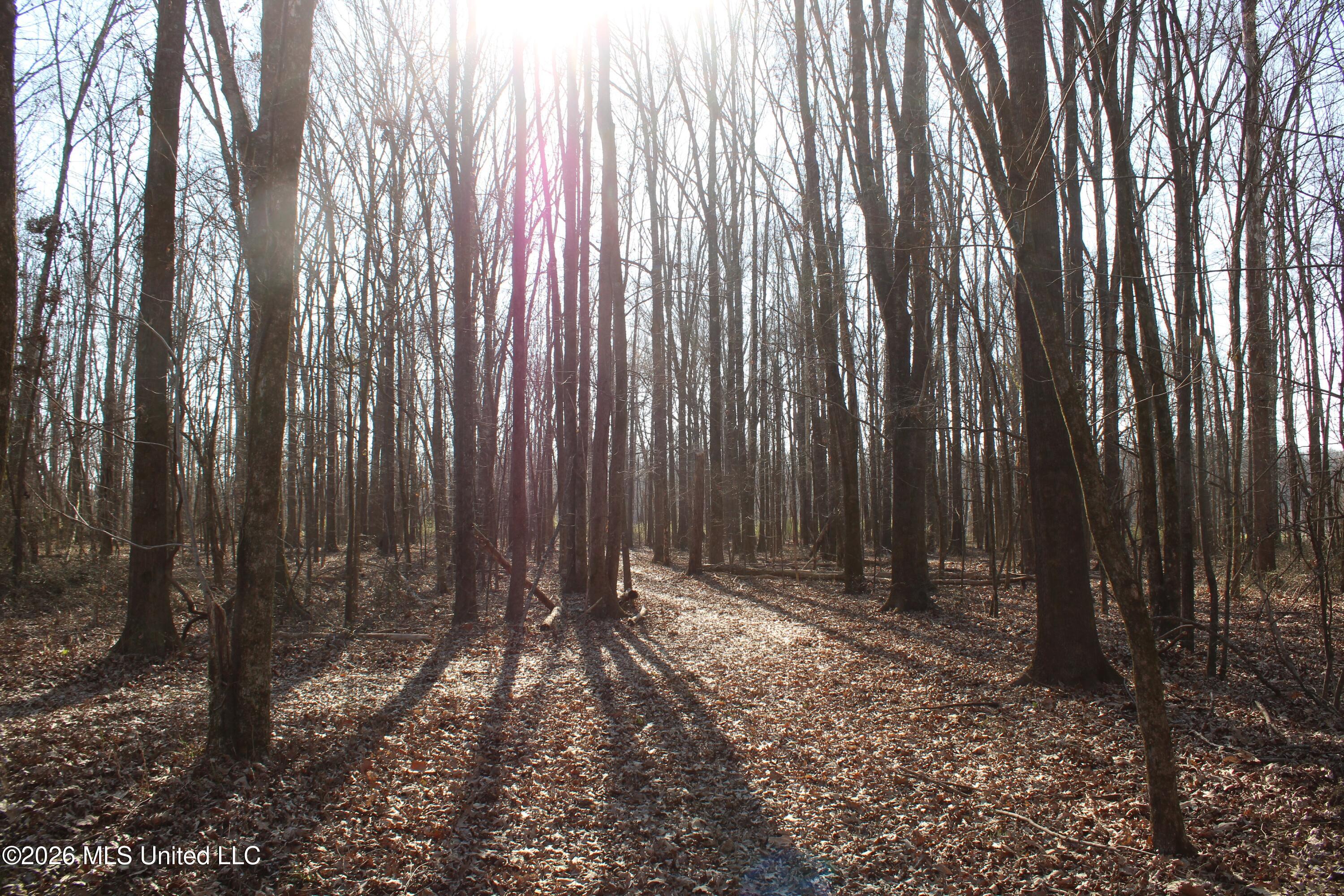 1815 Craft Road Olive Branch, MS 38654 - Photo 17 of 27 IMG_7454