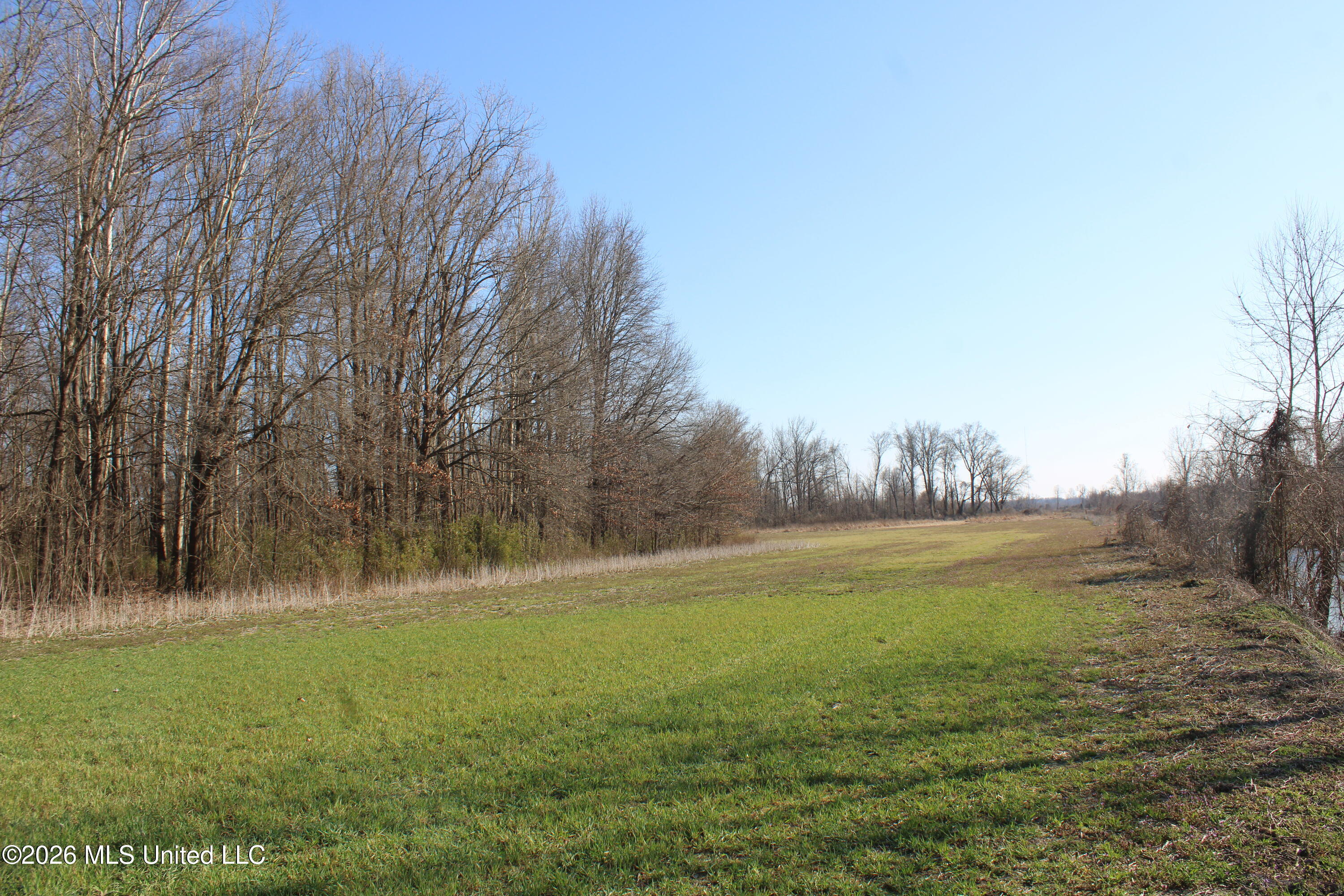 1815 Craft Road Olive Branch, MS 38654 - Photo 18 of 27 IMG_7460